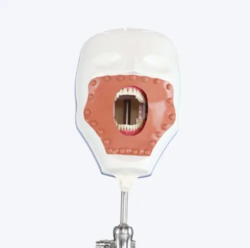 Ashoosons API Phantom Head Complete